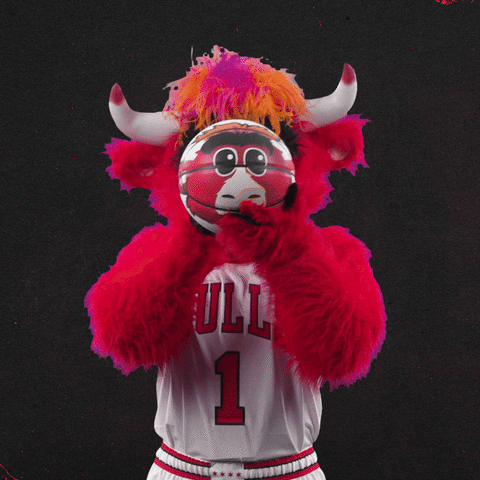 Red Bull Yes GIF by Chicago Bulls