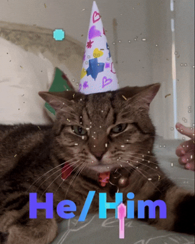 Cat Hehim GIF