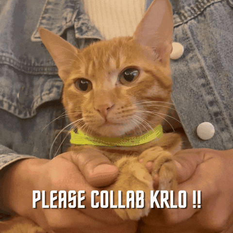 Cat Collab GIF by Beeglee