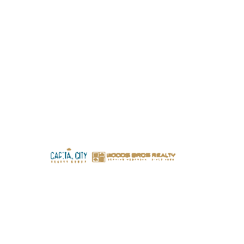 Capitalcity Sticker by Alyssa Wallace