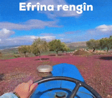 Afrin GIF