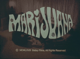 Reefer Madness Weed GIF by Hash Museum