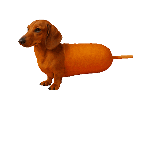 CornDogWarsaw Sticker