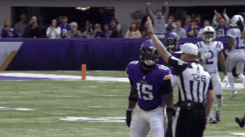 Happy Celebration GIF by Minnesota Vikings