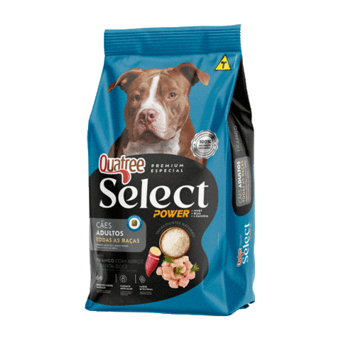 Quatreeselect Sticker by Quatree