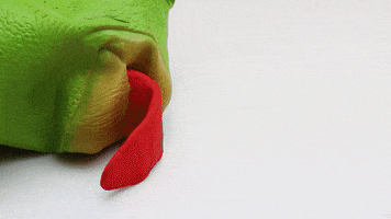 200.gif?cid=fc005b08ff88fb84b0bc7e28ab0e4ee1452e3eb94b5e8185&rid=200.gif&ct=g