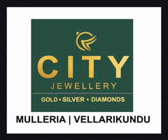 Cityjewellery GIF