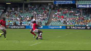 France Sport GIF by World Rugby