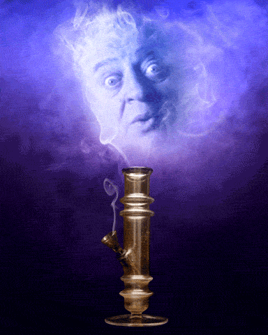 Weed Cannabis GIF by Rodney Dangerfield