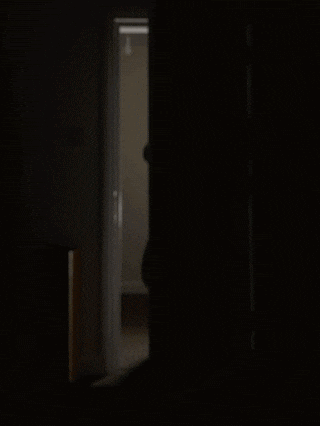 Scared The Bear GIF