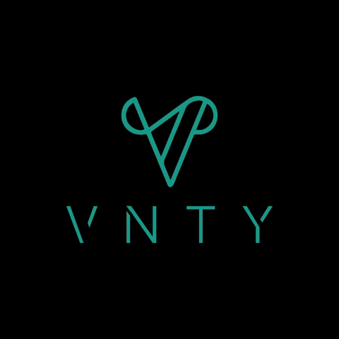 vnty GIF