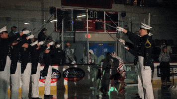 Womens Hockey GIF by Norwich University