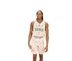 Lets Go Basketbal Sticker by Donar Official