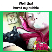 #ybf #you've been framed #funny cat #burst your bubble #burst my bubble #bubblegum #pop GIF by You've Been Framed!