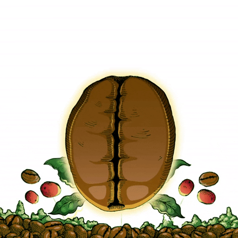 Coffee Veracruz GIF by Cafe Andrade Oficial