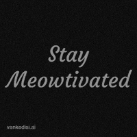Motivate Black And White GIF by vankedisi