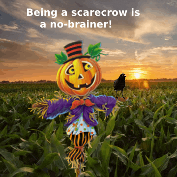 scarecrowed meme gif
