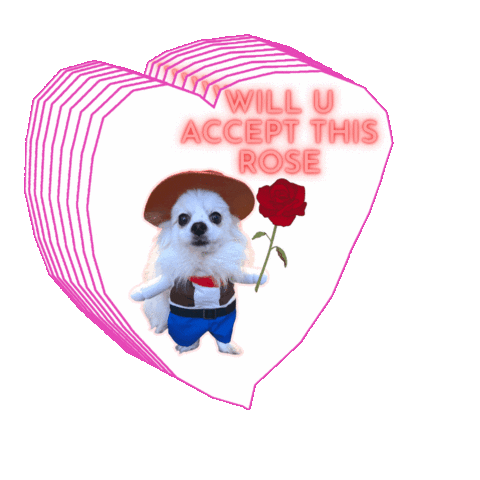 I Love You Dog Sticker by Romeo Mama Online Store