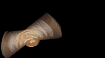 Logo Hearthstone GIF