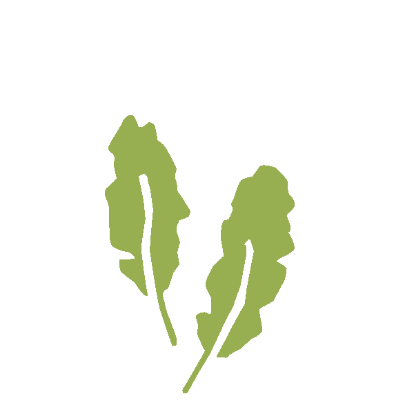 Fitness Health Sticker by SmartPressedJuice