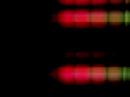 nicolaslalonde glitch vhs glitchart videosynthesis GIF