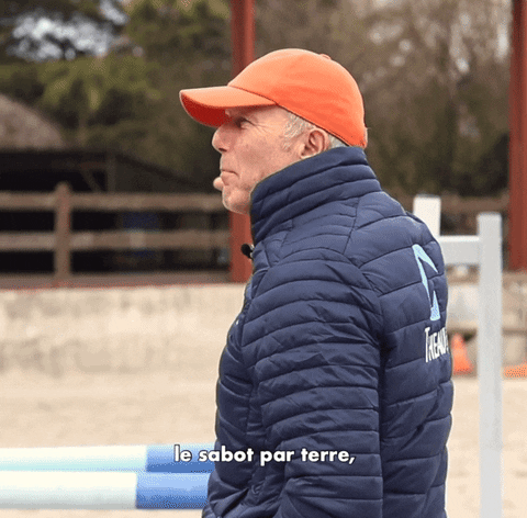 Show Jumping GIF by Equestrian News