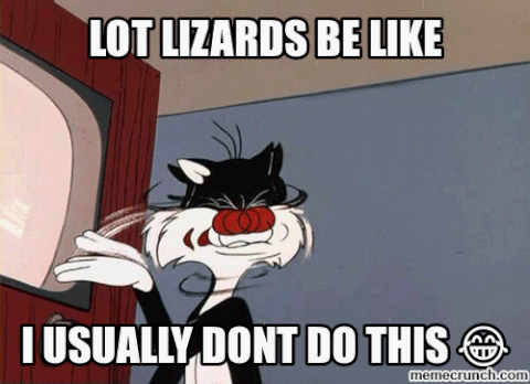 lizards