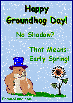 groundhog day GIF