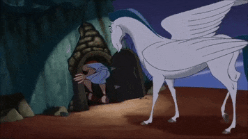 survey  GIF
