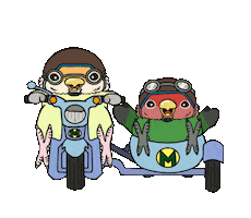 Bike Sticker