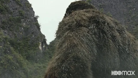 Sad King Kong GIF by HBO Max