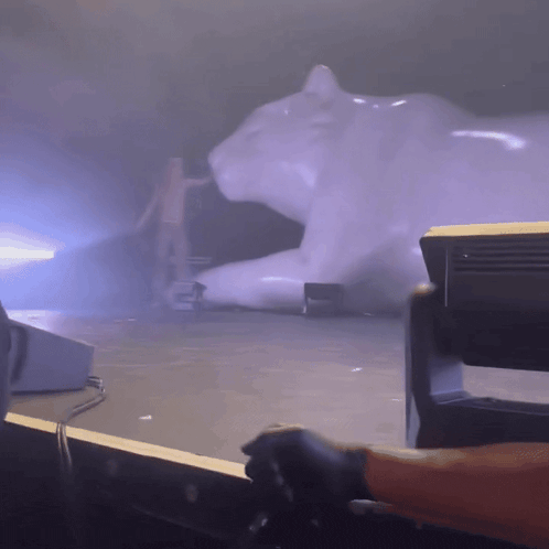 2Hollis GIF