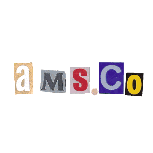 AMS.Co Sticker