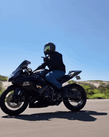 Weezy GIF