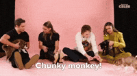 Chunky-monkey GIFs - Get the best GIF on GIPHY