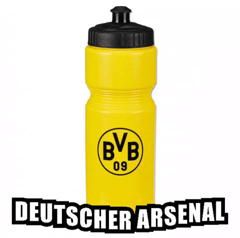 Borussia Dortmund GIF