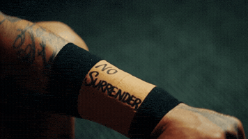 New Zealand Rugby GIF by NZWarriors