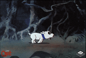 Welcome Home Running GIF