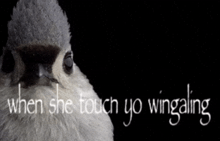 When She GIF