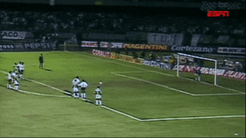 campeÃ£o evair GIF by SE Palmeiras