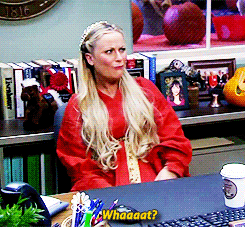 amy poehler what GIF