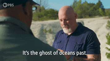 Ghost Episode 6 GIF by PBS