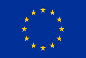 European Union Eu GIF