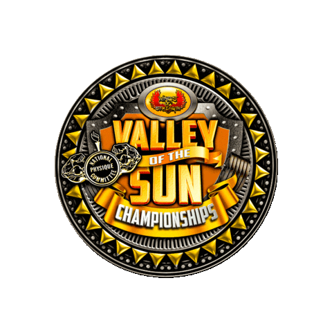 Valley Of The Sun Arizona Sticker by Wings of Strength