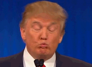 Donald Trump Mini Face GIFs - Get the best GIF on GIPHY