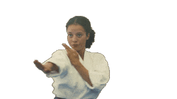 Karate Sticker by Warner Bros. Pictures