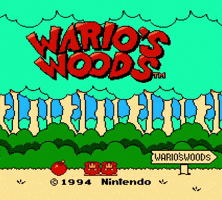 Super Mario Toad GIF