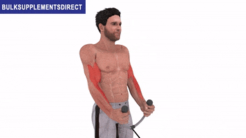 Bulksupplementsdirectcom GIF