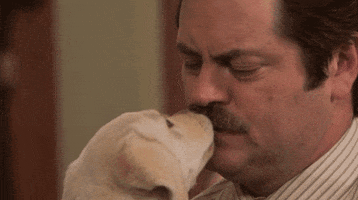 tv cute parks and recreation puppy ron swanson