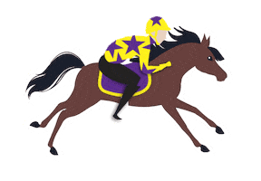 Horse Racing Hdj Sticker by Hollywoodbets